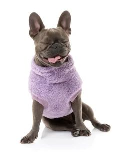 Turtle Teddy Sweater - Purple