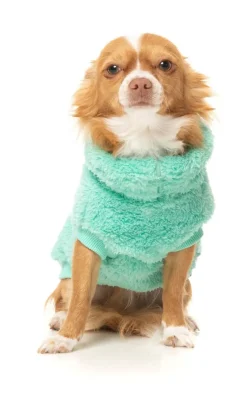 Turtle Teddy Sweater - Teal