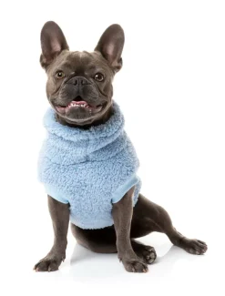 Turtle Teddy Sweater - Washed Blue