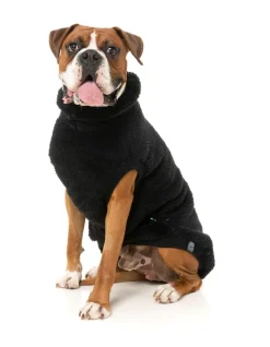 Turtle Teddy Sweater Black