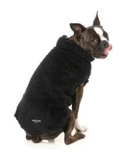 Turtle Teddy Sweater Black