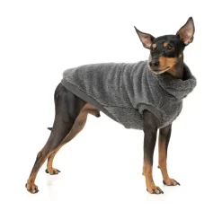 Turtle Teddy Sweater Charcoal