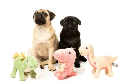 Tyrion the Tyrannosaurus Rex