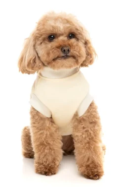 Vanilla Street Sweater