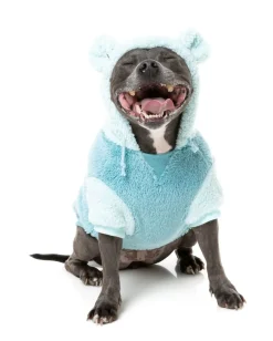 Winnie Hoodie - Blue