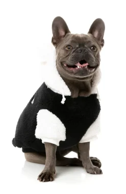 Winnie Hoodie - Panda