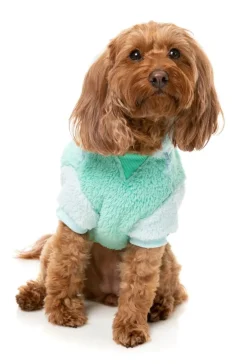 Winnie Hoodie - Teal
