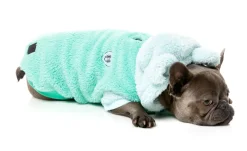 Winnie Hoodie - Teal