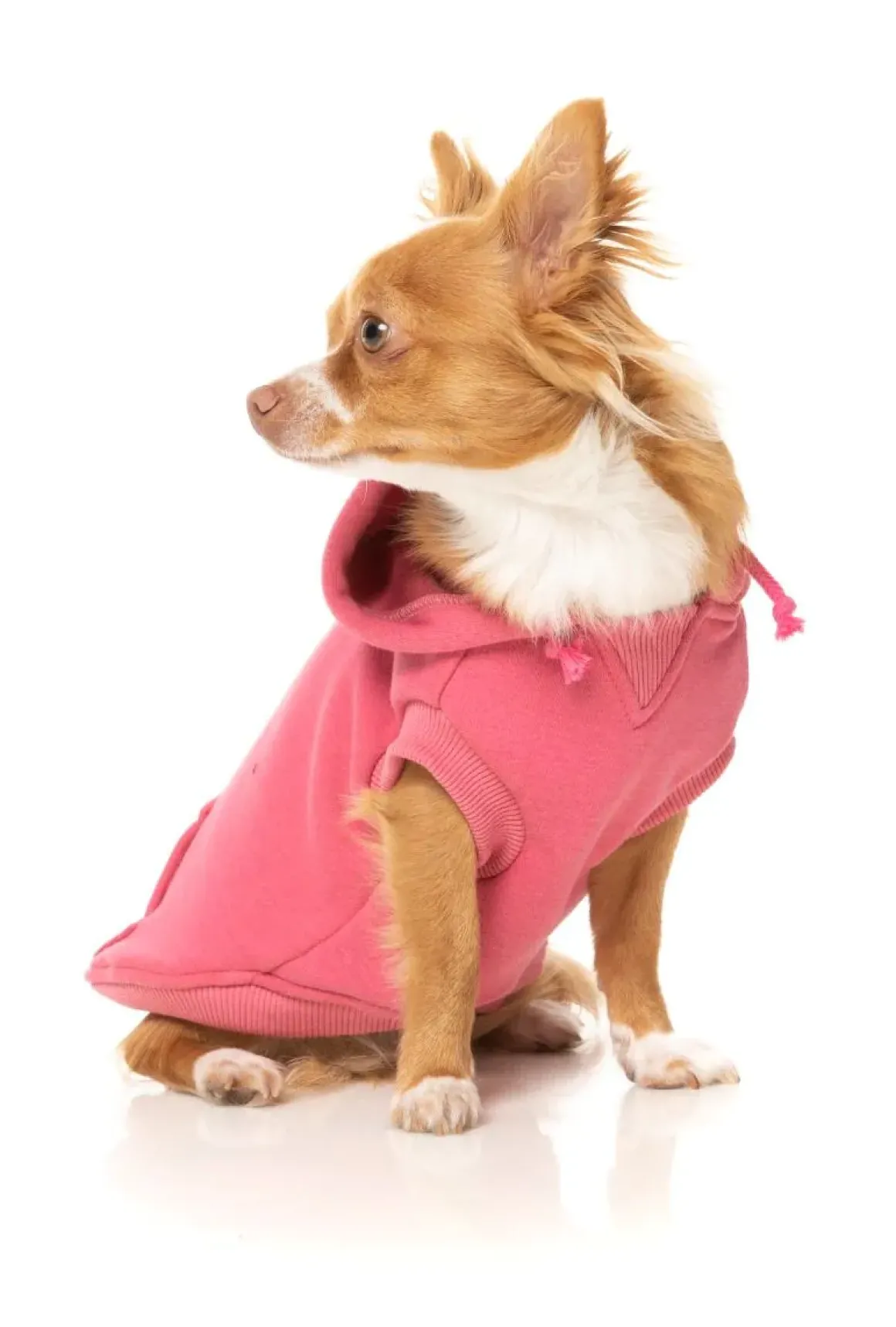 Wooftagram Hoodie - Pink