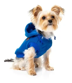 Yardsters Hoodie - Blue