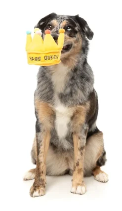 Yass Queen Crown - Dog Toy