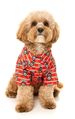 Yo! Santa Button Up Shirt